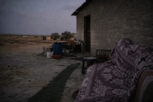 A Fragile Life in the Desert